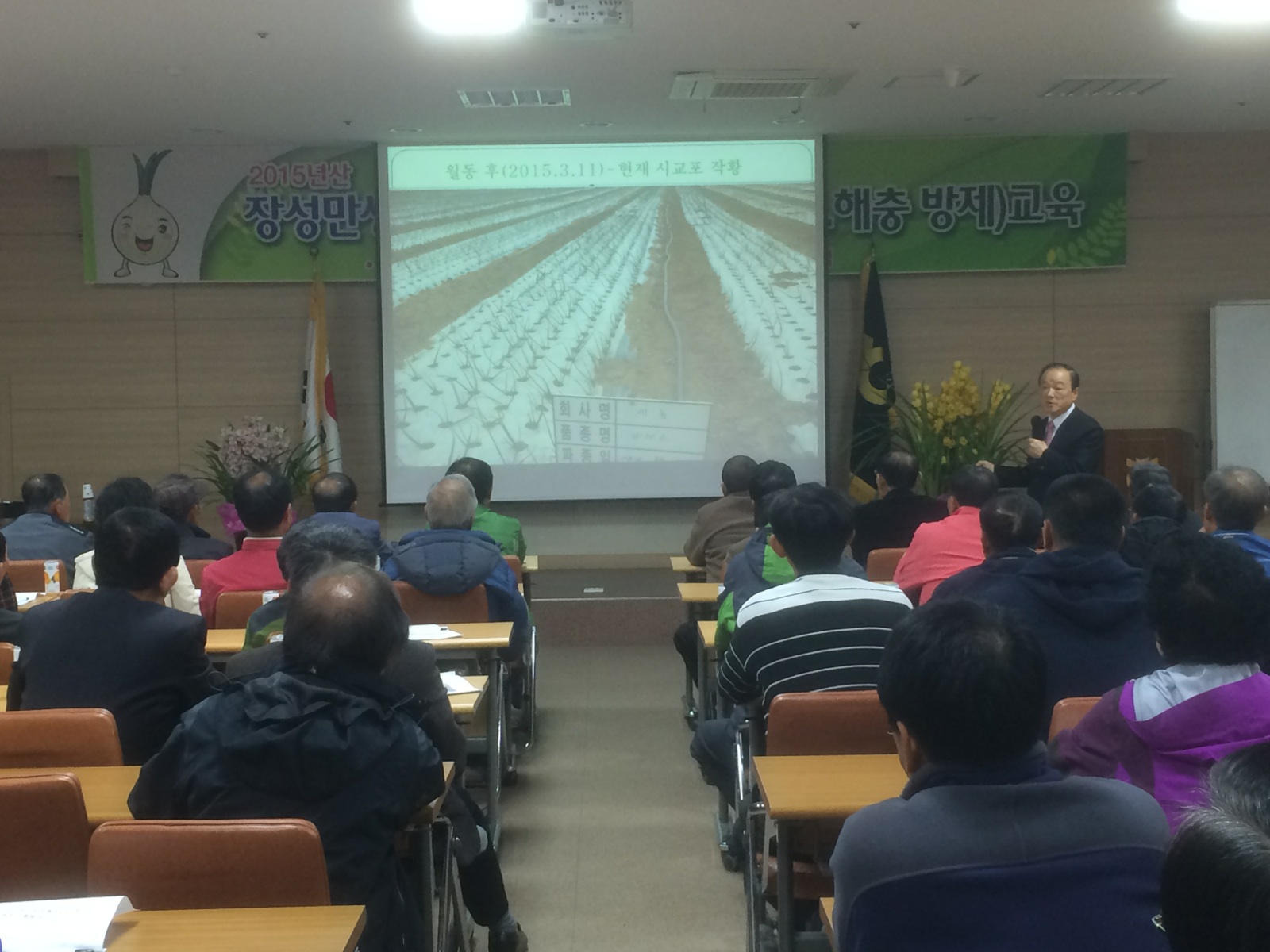 - 고품질 장성만생양파 생산을 위한 .. 대표 이미지